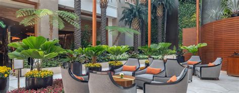 oasis solaire|Oasis Garden Cafe at Solaire .